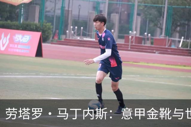 劳塔罗·马丁内斯：意甲金靴与世界杯表现分析