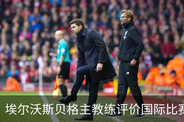 埃尔沃斯贝格主教练评价国际比赛日对小俱乐部的影响